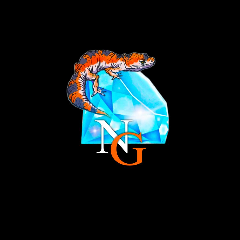 NICE GECKOS – nicegeckos